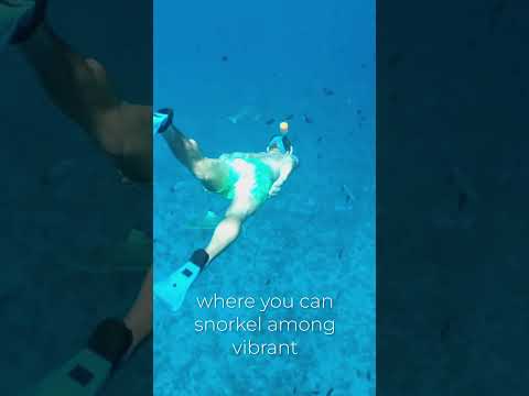Video: Bora Bora Ceļvedis: ceļojuma plānošana