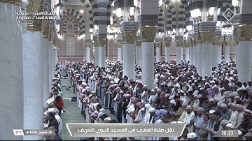 صلاة المغرب للشيخ محمد برهجي 26 شعبان 1446هـ من سورة ص