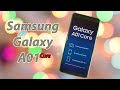 Samsung A01 Core - Брать или не брать? Рассмотрим плюсы и минусы смартфона.