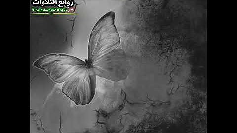 من روائع التلاوات الشيخ خالد الجليل.  ((يوم تأتي كل نفس ))
