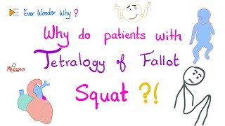 Tetralogy of Fallot (TOF) 😨 Patients Squat a lot…Ever Wonder Why? 🤷‍♂️