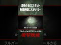 日本屈指の自◯スポット『東尋坊』　深夜の断崖絶壁に人がいて... #人怖 #恐怖 #怖い話