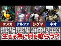 衝撃の問題作!仮面ライダーアマゾンズとは?世界観や設定を解説!