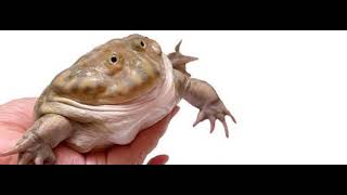 1 hour of silence occasionally broken up by wednesday my dudes