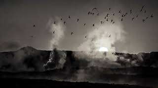 The Earth is Bleeding