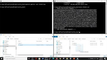 1 - ESP IDF MQTTS  test tool in order to Publish and Subscribe via Mosquitto test broker