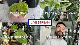 Houseplant Haul and Propagation, Plant Craze of 2020, Ask Me Anything - LIVE STREAM
