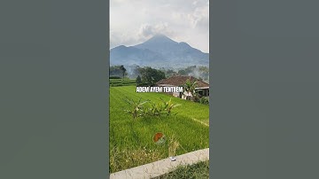 APA JADINYA JIKA BERTEMPAT TINGGAL DI SINI#shorts #video #alam #indonesia #indah #trending #viral