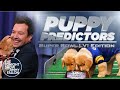 Puppies Predict the Winner of Super Bowl LVI | The Tonight Show Starring Jimmy Fallon