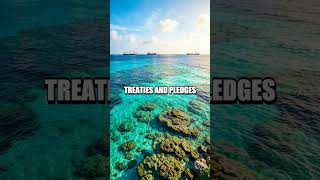 The Living Charter Global Ecologies as Law