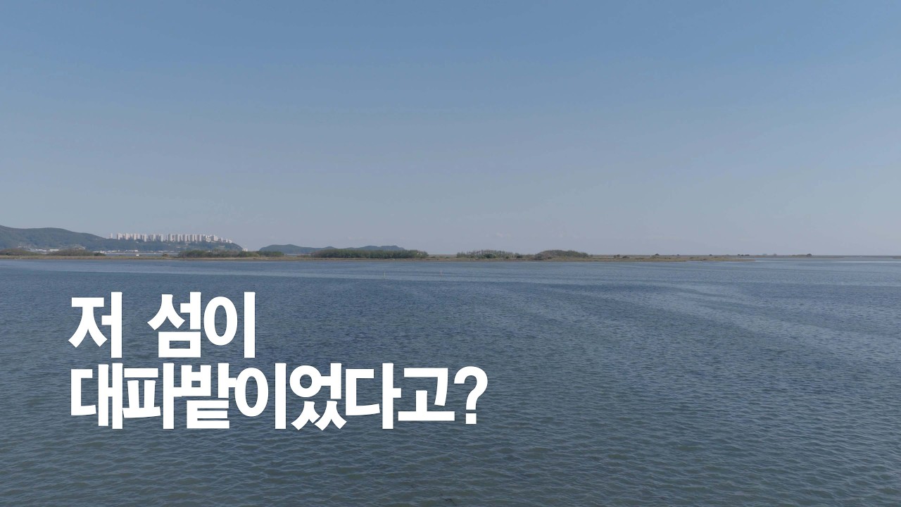 명지 앞바다, 저 섬에는 무슨 일이 있었을까? 대마등 자연 다큐