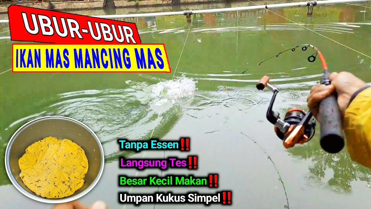 ○Si Kukus Simpel,,!! Umpan mantul mancing ikan mas