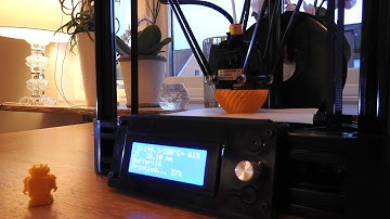 3D Printing In Action ! Micromake D1