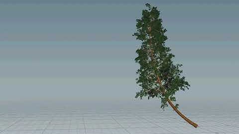Houdini tree sim technical test v1