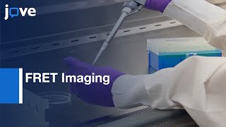 FRET Imaging In Three-Dimensional Hydrogels l Protocol Preview