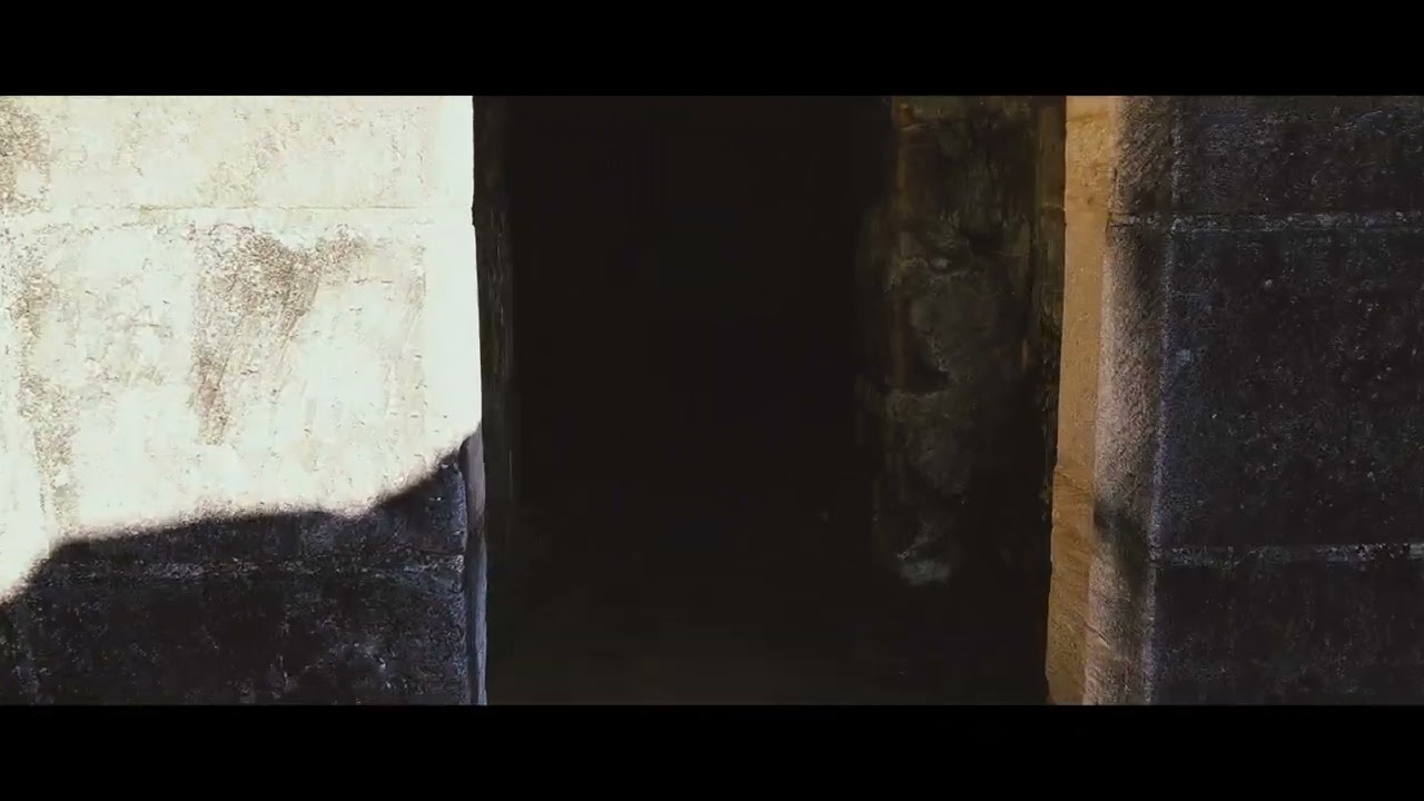 The Last Tree Standing