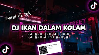 DJ IKAN DALAM KOLAM | Jangan-jangan dulu | viral tik tok