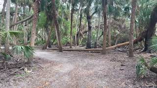 Canopy Walk Myakka State Park