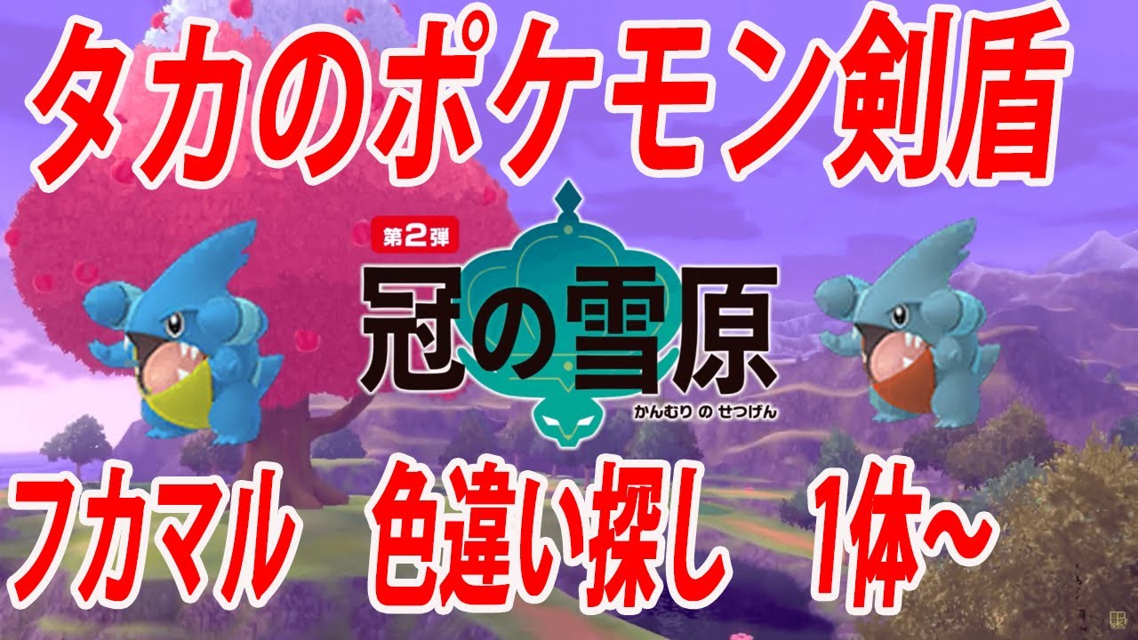 生配信 ポケモン剣盾 フカマル色違い探し 1体 Youtube