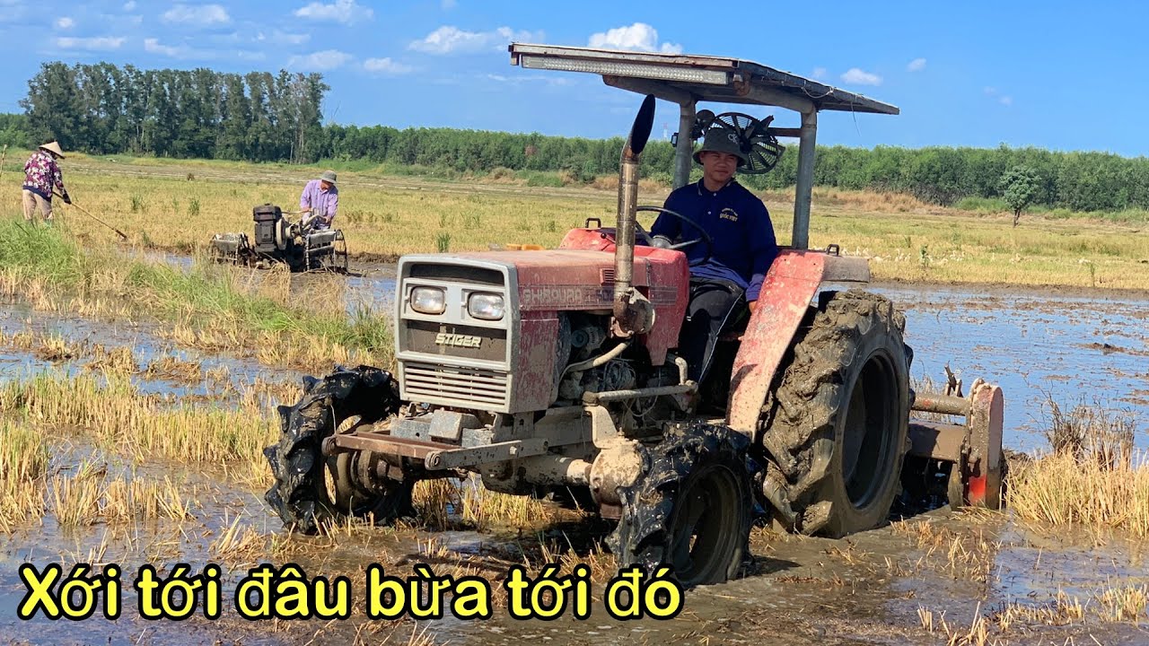 Shibaura đấu đầu xới ruộng ở đồng lách tỉnh đồng Nai chạy xới thấy mạnh quá 
