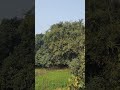 सहर से बढ़िया #गांवगाॅव