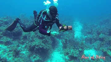 SMB Deployment On Drift Dive