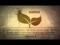 Various artists  incepto music sampler vol2 part i