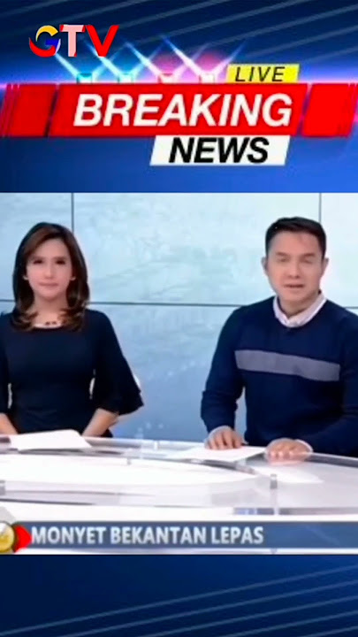 Info bedebest seekor monyet 🐒 lepas dan saat ini masuk ke pekarangan warga 😀