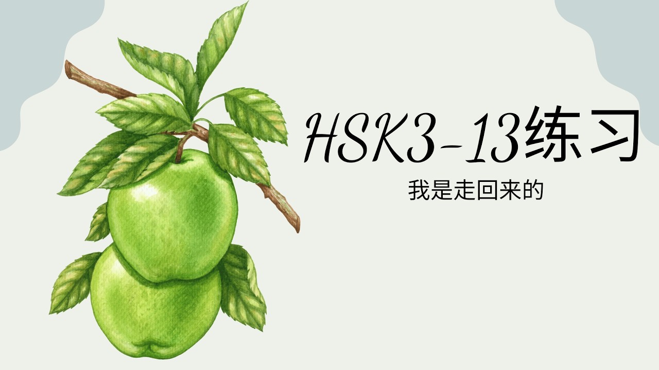 (2.0) HSK3-13练习: 我是走回来的/Anh đi bộ về/Bài tập & đáp án GT HSK3