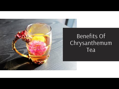 Benefits Of Chrysanthemum Tea | Mishry Reviews