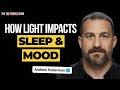 How Light Impacts Your Sleep and Mood: Easy Daily Tactics from Dr. Andrew Huberman