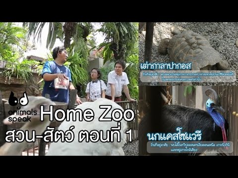 Animals Speak [by Mahidol] Home Zoo สวน - สัตว์ ตอนที่ 1