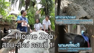 Animals Speak [by Mahidol] Home Zoo สวน - สัตว์ ตอนที่ 1