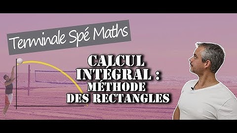 Calcul Intégral - Méthode des rectangles