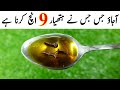 Cloves & Mustard Oil Recipe by MrDesi | Yummy Dessert Recipe | لونگ اور سرسوں کے تیل کے فائدے