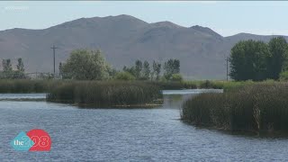 Iconic trout fishing destination closed, water temps too high