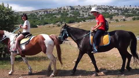 Cưỡi ngựa trên thảo nguyên