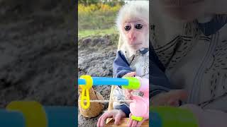 Monkey Obi goes fishing #animalshome #obi #monkey #cute #animallife #animals