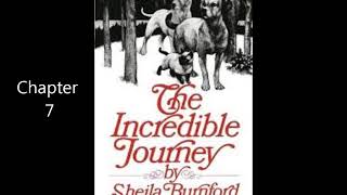 Incredible journey Chapter 7