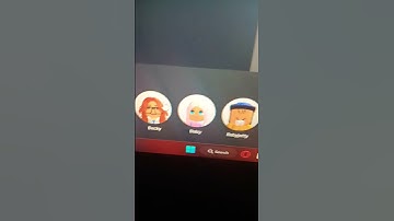 i found the real johnny and marty and daisy and gooby