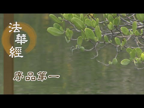 淨空老法師｜學佛答問｜「諸法空相」是什麼意思？