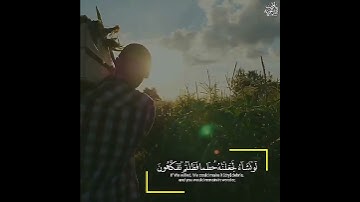 تلاوة تشرح الصدر وصوت من عالم آخر   القرآن الكريم   حالات واتس اب دينية