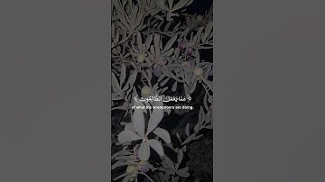 قران كريم لأ تهرب بلأ أسمع صوت خاشع يتلو