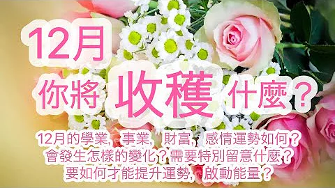 五月塔罗占卜：2022年的最后一个月，12月你将收获什么？你的学业，事业，经济财富，感情运势如何？会发生哪些变化？有什么是需要特别留意的？要如何才能提升运势，启动能量？ - 天天要闻