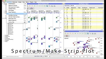 CcpNmr AnalysisAssign V3 - Creating Strip Plots