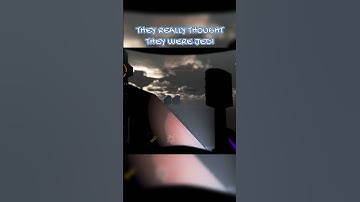 THESE DOGS IN LETHAL COMPANY THINK THEY