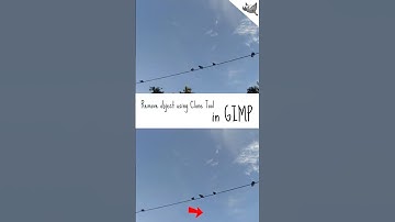 Remove or erase object from scene  in GIMP