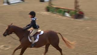 592 - Mia Randall-  Orchard Hills Photogenic