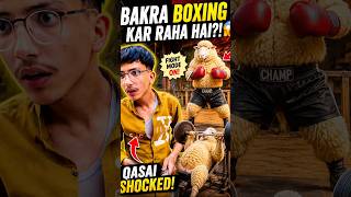 Bakra Gym Kar Raha Tha 😂 Qasai Dar Kar Bhaag Gaya 🐐🏋️🤣