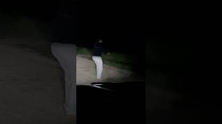 Girl Rescues Turtle From Road At Night